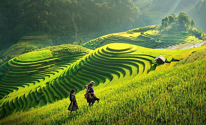 Rizières en terrasse à Nghia Lo, Mu Cang Chai