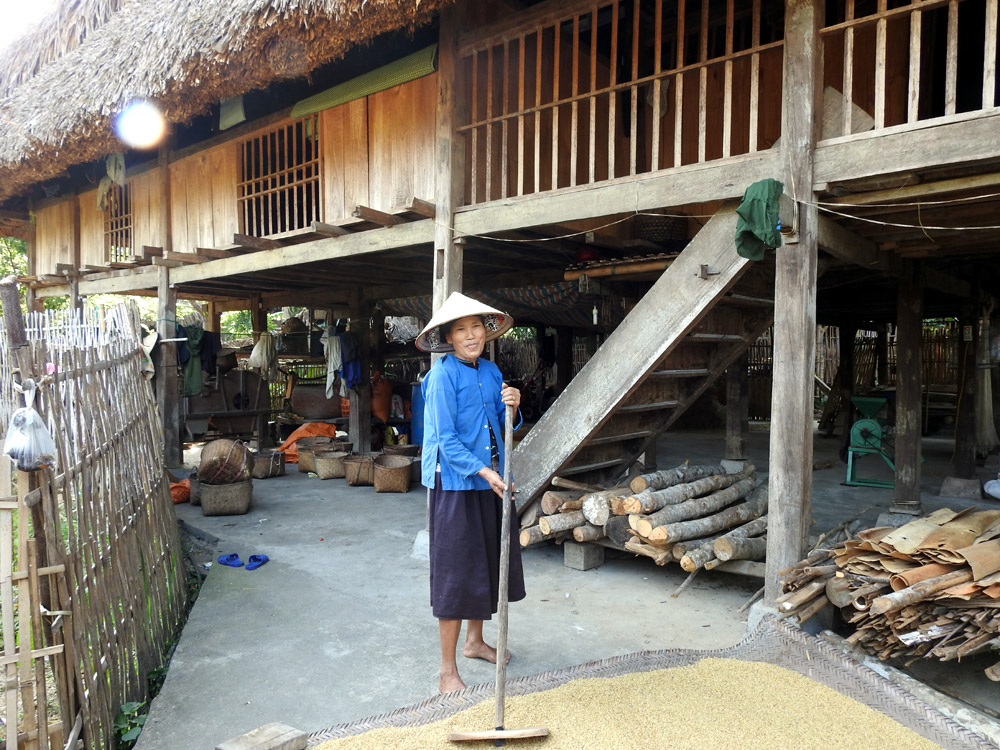 la femme Tay au séchage du riz à Ha Giang la femme Tay au séchage du riz à Ha Giang