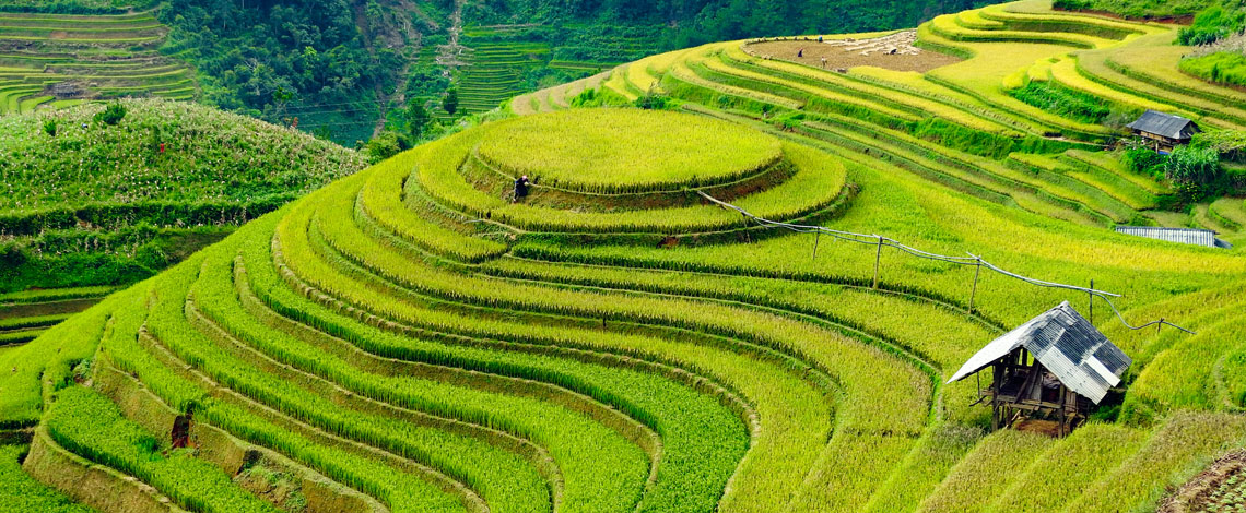 Vietnam Special Voyage 