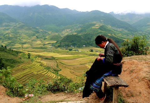 Broderie à la main avec une femme Hmong Noir Broderie à la main avec une femme Hmong Noir