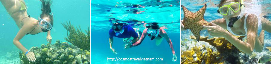 Diving in Phu Quoc Island, Vietnam Diving & Scuba in Phu Quoc Island, Vietnam