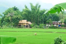 Mai Chau valley
