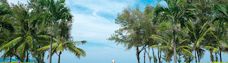 Danang Beach 
