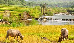 Pu Luong Reserve Discovery