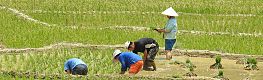 Vietnam Classic Tours
