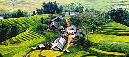 Sapa