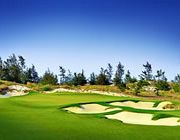 Danang Golf Tour