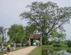 Cycling to Duong Lam Village